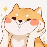 小小向向