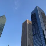 动物观察