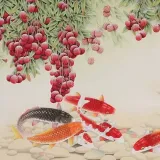 海舒医生
