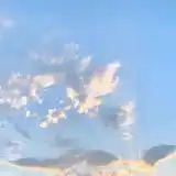 芭蕉