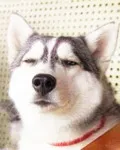 厘抠先生