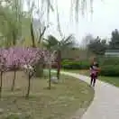 向往蓝天