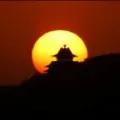 张忠辉(只争朝夕)