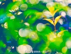 http://oss.jp.cjn.cn/images/20220622/16558607832508d82e26e-7c89-4c6f-b495-37431845183c.jpg