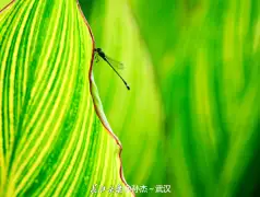 http://oss.jp.cjn.cn/images/20220622/1655860791080f90981b7-8b20-4708-b7cb-a6f33b224c13.jpg
