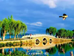 http://oss.jp.cjn.cn/images/20220622/1655860807640c2a7a0c3-852a-48df-8ed3-99c1b2f4b224.jpg