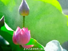 http://oss.jp.cjn.cn/images/20220622/1655860816021ddf393ae-cbee-4580-9058-4d7e6fd7c7af.jpg