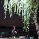 李伟红