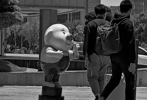 http://oss.jp.cjn.cn/images/20220719/16581859914482513642f-3039-4c25-9876-9a56a44ec2af.jpg