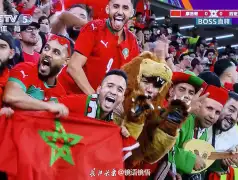 http://oss.jp.cjn.cn/images/20221207/1670363012298a69a5d32-f063-49b6-8ec2-b8ef0cc4692a.jpg