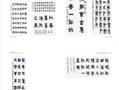 http://oss.jp.cjn.cn/images/20230205/1675580418196be43b2c3-b521-4f2c-ad97-aecb0c3e35f9.jpg