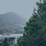 晨报热事