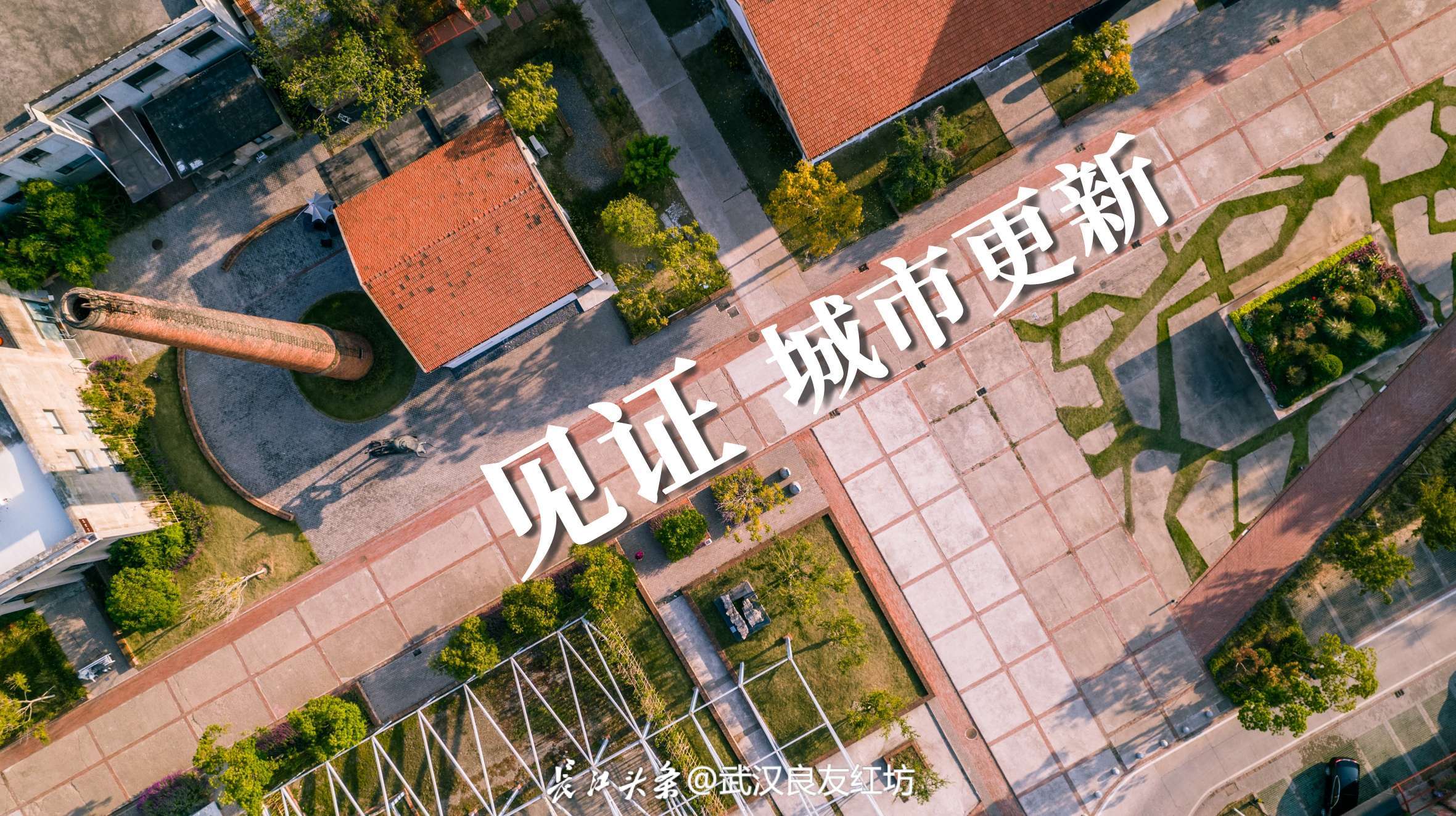 DJI_0810.jpg