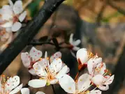 http://oss.jp.cjn.cn/images/20230305/1678019492044e06d665e-16cc-4b76-a716-786330a4147c.jpg