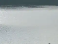 http://oss.jp.cjn.cn/images/20230305/1678019495128154ab713-d678-4e0f-b534-464e84aadda4.jpg