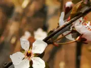 http://oss.jp.cjn.cn/images/20230305/1678019513383a125aca3-0178-46bd-9e51-1273d331da11.jpg