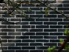 http://oss.jp.cjn.cn/images/20230305/1678019518975346ff0d5-bf31-49e8-9bff-48de10de2d30.jpg