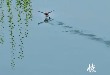 http://oss.jp.cjn.cn/images/20230306/1678085268963c8ace923-fcf2-4ae7-b40c-09d87e5c4db3.jpg
