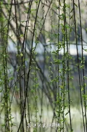 http://oss.jp.cjn.cn/images/20230306/167809229781823e9a1aa-ec37-4dde-a8ce-a2f3abaf7cf5.jpg