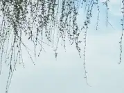 http://oss.jp.cjn.cn/images/20230307/1678160018958ea3c3c27-b2ac-4047-bfaf-9165eec2bb15.jpg