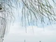 http://oss.jp.cjn.cn/images/20230307/16781600214272cf8b4c5-f866-4462-9296-270eba2fa79a.jpg