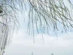 http://oss.jp.cjn.cn/images/20230307/16781600214272cf8b4c5-f866-4462-9296-270eba2fa79a.jpg