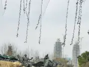 http://oss.jp.cjn.cn/images/20230307/1678160023887d0a606d6-24e6-4a8f-b99c-fbb14ca2d576.jpg