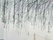 http://oss.jp.cjn.cn/images/20230307/1678160026600c2030d3c-a0b0-42ed-80cc-1e8cd8e650c3.jpg