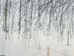 http://oss.jp.cjn.cn/images/20230307/1678160026600c2030d3c-a0b0-42ed-80cc-1e8cd8e650c3.jpg