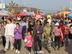 http://oss.jp.cjn.cn/images/20230309/1678319213646d5df9832-ee66-4df7-84f6-eb3228ef0041.jpg