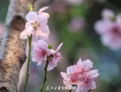 http://oss.jp.cjn.cn/images/20230310/1678412669893db79026b-812b-4010-9ecc-63b8b8095586.jpg