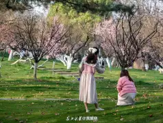 http://oss.jp.cjn.cn/images/20230310/1678412678283483af489-11d4-40a7-af3d-0a11e8cd90c7.jpg