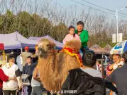 http://oss.jp.cjn.cn/images/20230310/1678413147568b21d2627-527e-45a5-8a9d-b1badae0e8a8.jpg