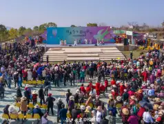 http://oss.jp.cjn.cn/images/20230313/1678715124726387b0b60-5689-41ad-b82e-0d974bd9acf1.jpg