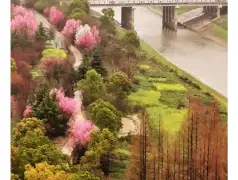 http://oss.jp.cjn.cn/images/20230326/1679797208515278b2816-0dfb-48c3-b201-56df19093e31.jpg