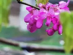 http://oss.jp.cjn.cn/images/20230326/16797972138415cb88c1b-8262-4f13-abe3-14385be75da6.jpg