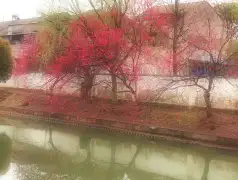 http://oss.jp.cjn.cn/images/20230326/1679797218379b5dee6b5-f41e-4281-b0ff-750d2b15c6b7.jpg
