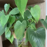 身边新闻