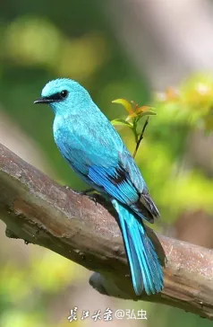 http://oss.jp.cjn.cn/images/20230410/1681060073925eb67b539-40a5-467e-886f-2fa4765bba0f.jpg