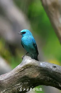 http://oss.jp.cjn.cn/images/20230410/1681060078416028081ea-1fd1-4fc5-9d5c-d2716907cf64.jpg