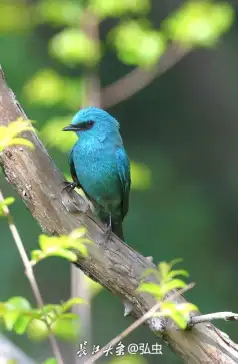 http://oss.jp.cjn.cn/images/20230410/168106008130138b98b69-3494-4307-b3db-d3133c013c4e.jpg