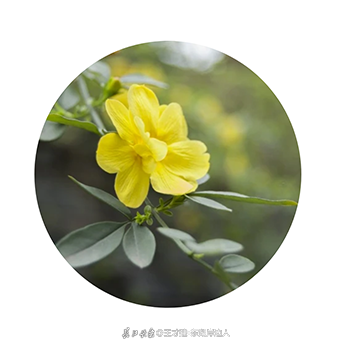 053339ehl0m63y.png