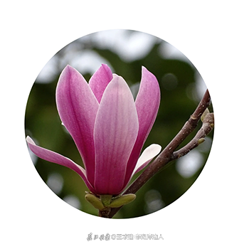053421np58ce46.png