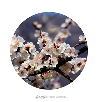 053454upwpk2a7.png