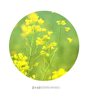 053515tjggd4pd.png
