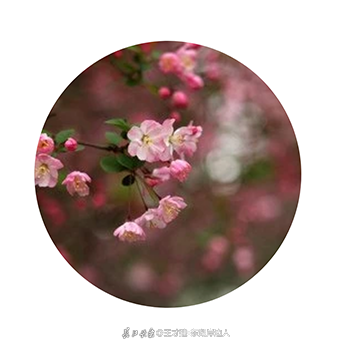 053634b2erjtv7.png
