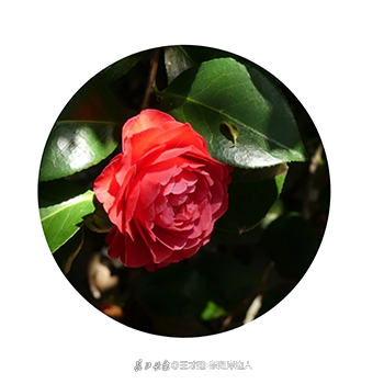 053731vwbybsqc.png