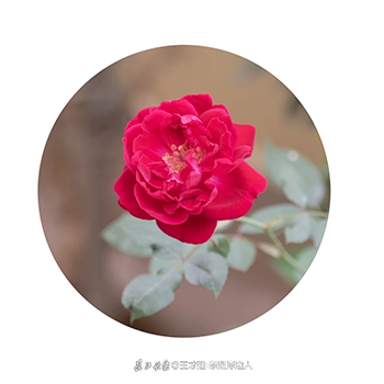 053757py3rksm5.png