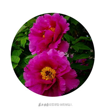 053852wellep7l.png