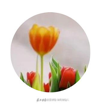 053934dv112542.png